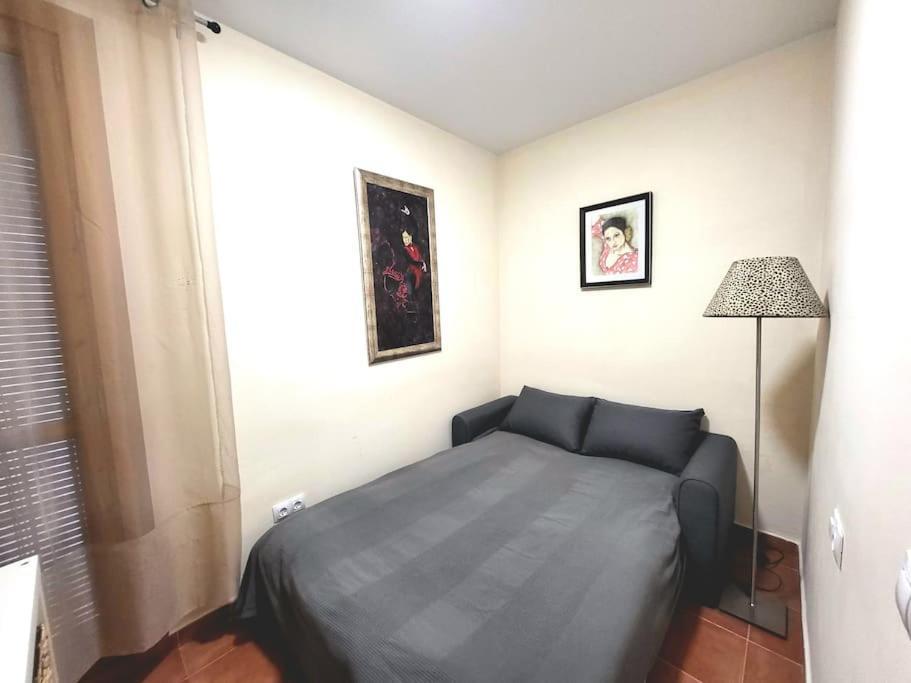 Flamenco, Apartamento Exclusivo De Dos Habitaciones En El Pleno Del Casco Antiguo, Alicante, Playa, Centro Historico, Rambla Esterno foto
